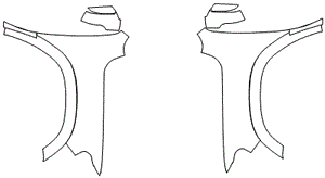 Full Fender and Mirror Kit | RAM 1500 LIMITED 2024