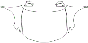 Full Hood & Fender + Mirror Kit | TOYOTA CAMRY SE 2024